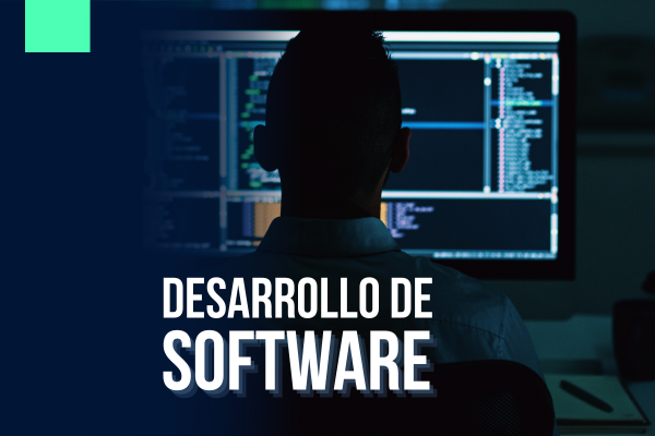 Desarrollo de Software Personalizado