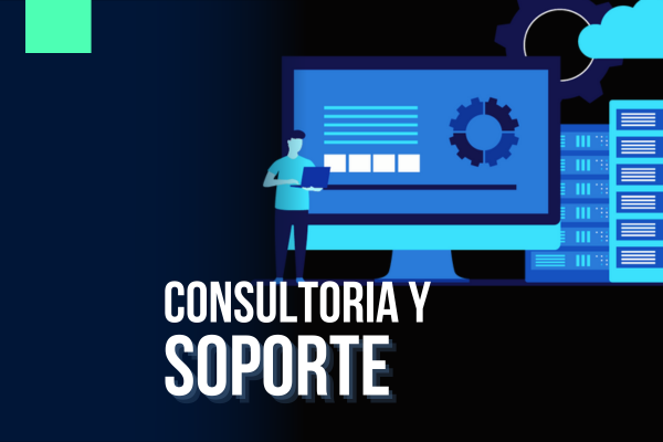 Consultoría y Soporte Técnico
